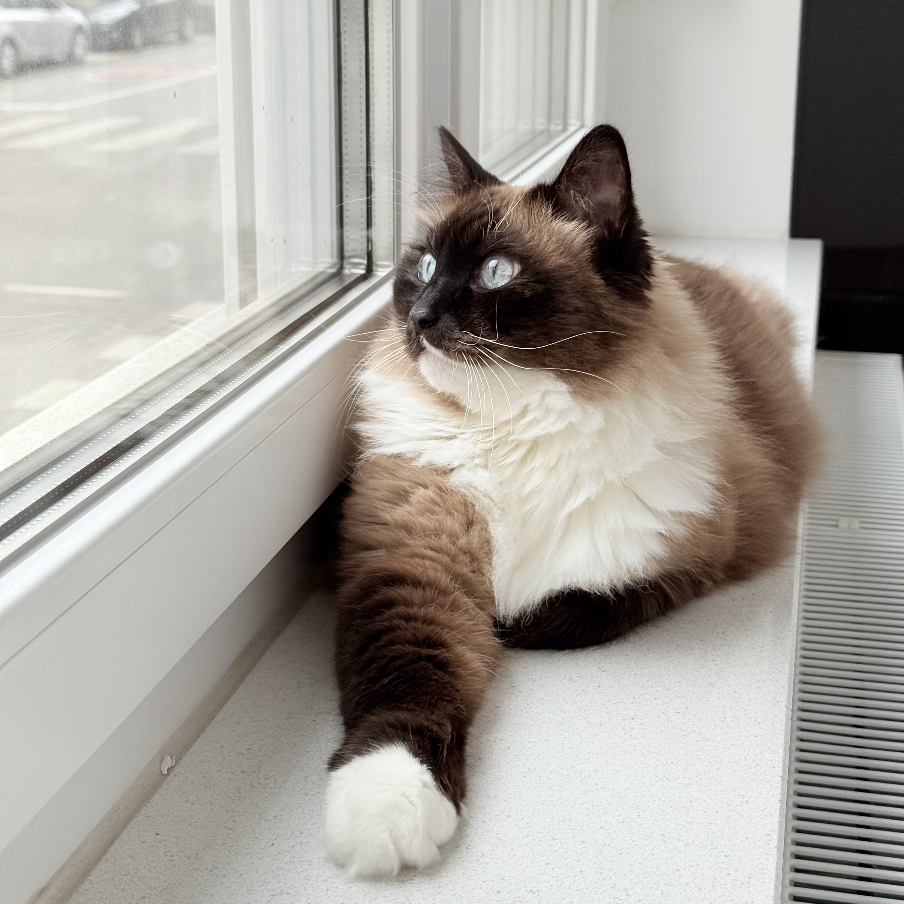 Nikki looking out window